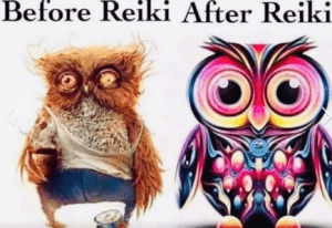 reiki therapy services, image of bedraggled owl with words "before reiki" above them, and a glowing beautiful owl with the words "after reiki" above them
