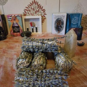 sage smoke cleansing bundle